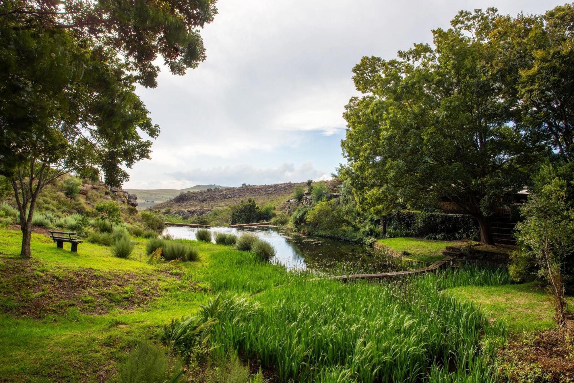 Paardeplaats Nature Retreat Rhenosterhoek Екстер'єр фото